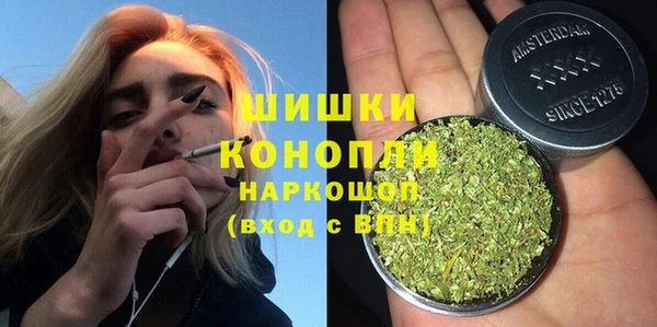 индика Абдулино